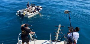 Hajangreb: Paige Winters historie Disney