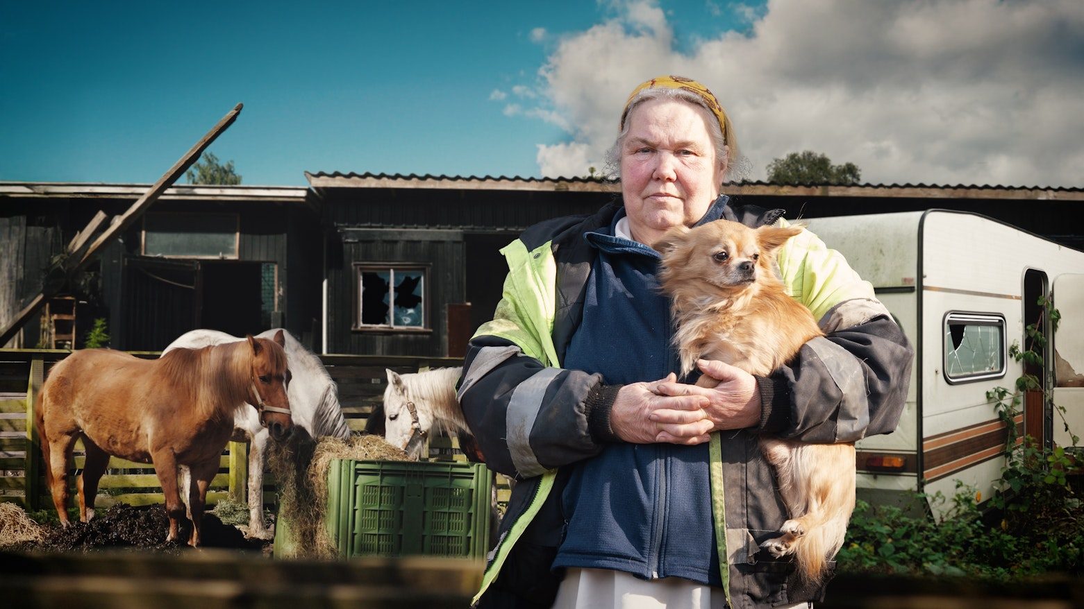 Hvem chikanerer Tove? Trailer