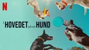 I hovedet på en hund Netflix