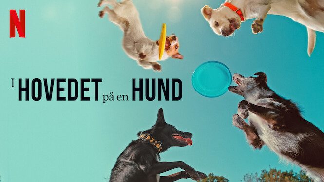 I hovedet på en hund Netflix