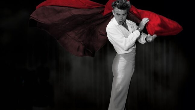 James Dean - Vildt blod