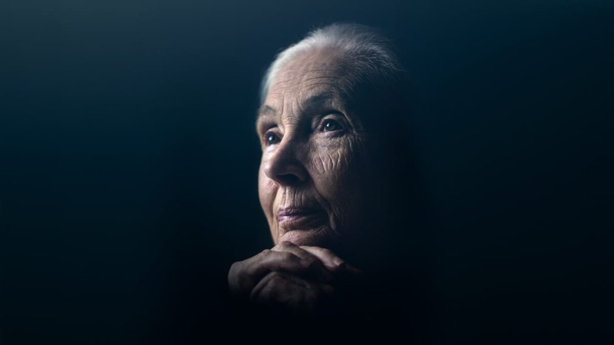 Jane Goodall: The Hope Disney+