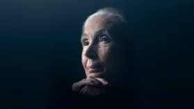 Jane Goodall: The Hope Disney+