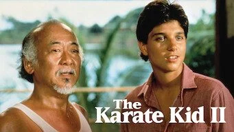 Karate Kid II