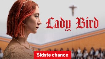 Lady Bird