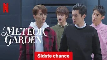 Meteor Garden