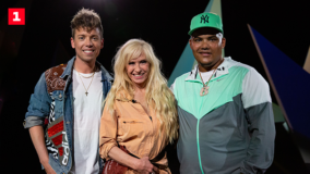 Min sang til Danmark - Sanne Salomonsen