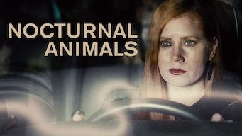Nocturnal Animals Netflix