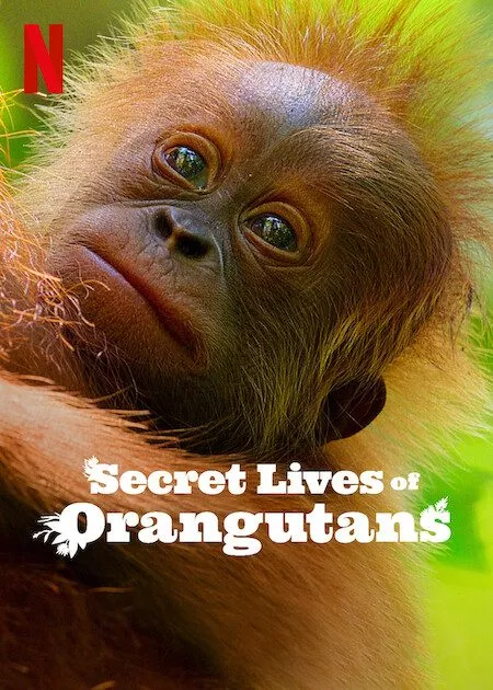 Secret Lives of Orangutans Netflix