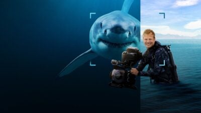Sharks Up Close with Bertie Gregory Disney+