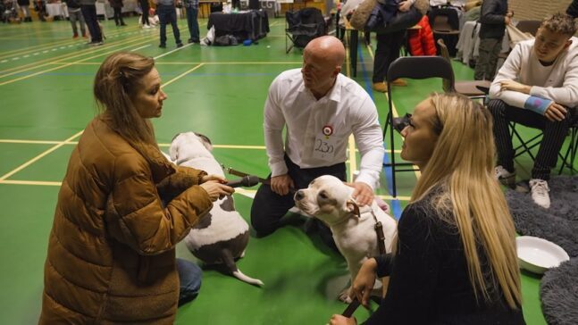 Signe Molde på udebane - Sæson 5 DR TV