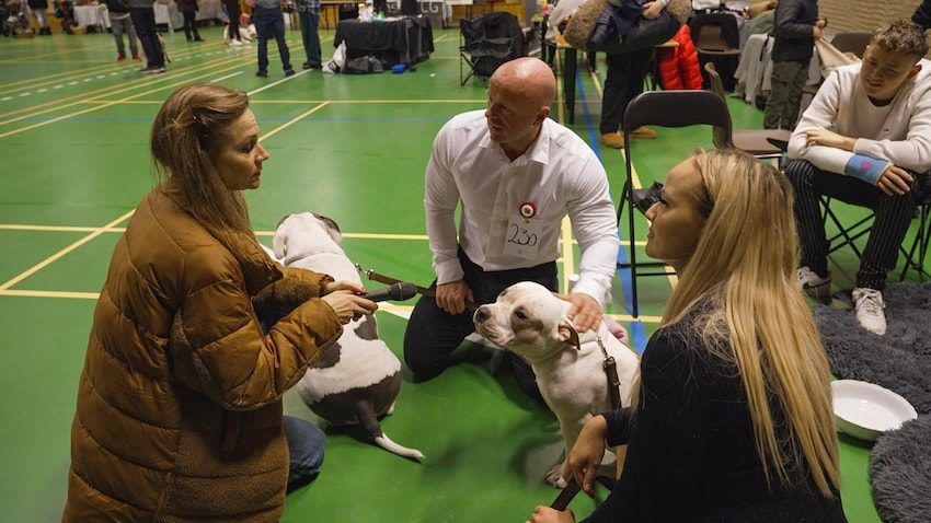 Signe Molde på udebane – Sæson 5