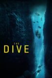 The Dive Viaplay