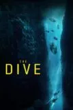 The Dive Viaplay