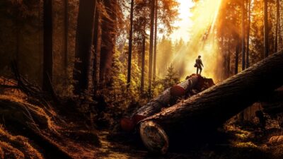 The Last Woodsmen - Sæson 2 HBO Max