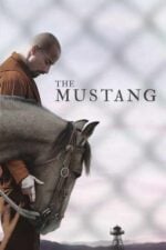 The Mustang DRTV