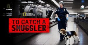 To Catch a Smuggler - Sæson 2 Disney