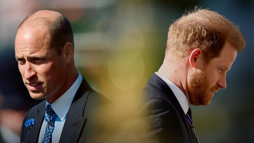 William og Harry i Kærlighed og had