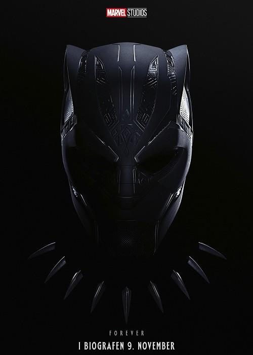 Black Panther: Wakanda Forever