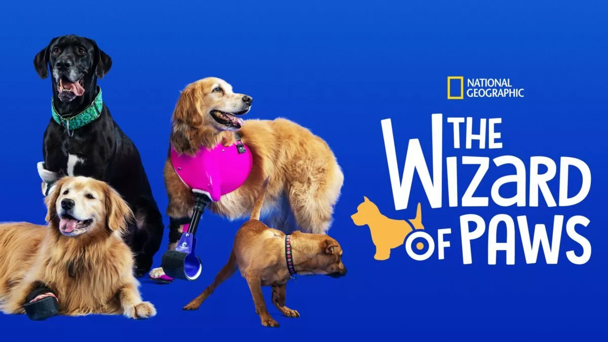 The Wizard of Paws - Sæson 1 Disney+