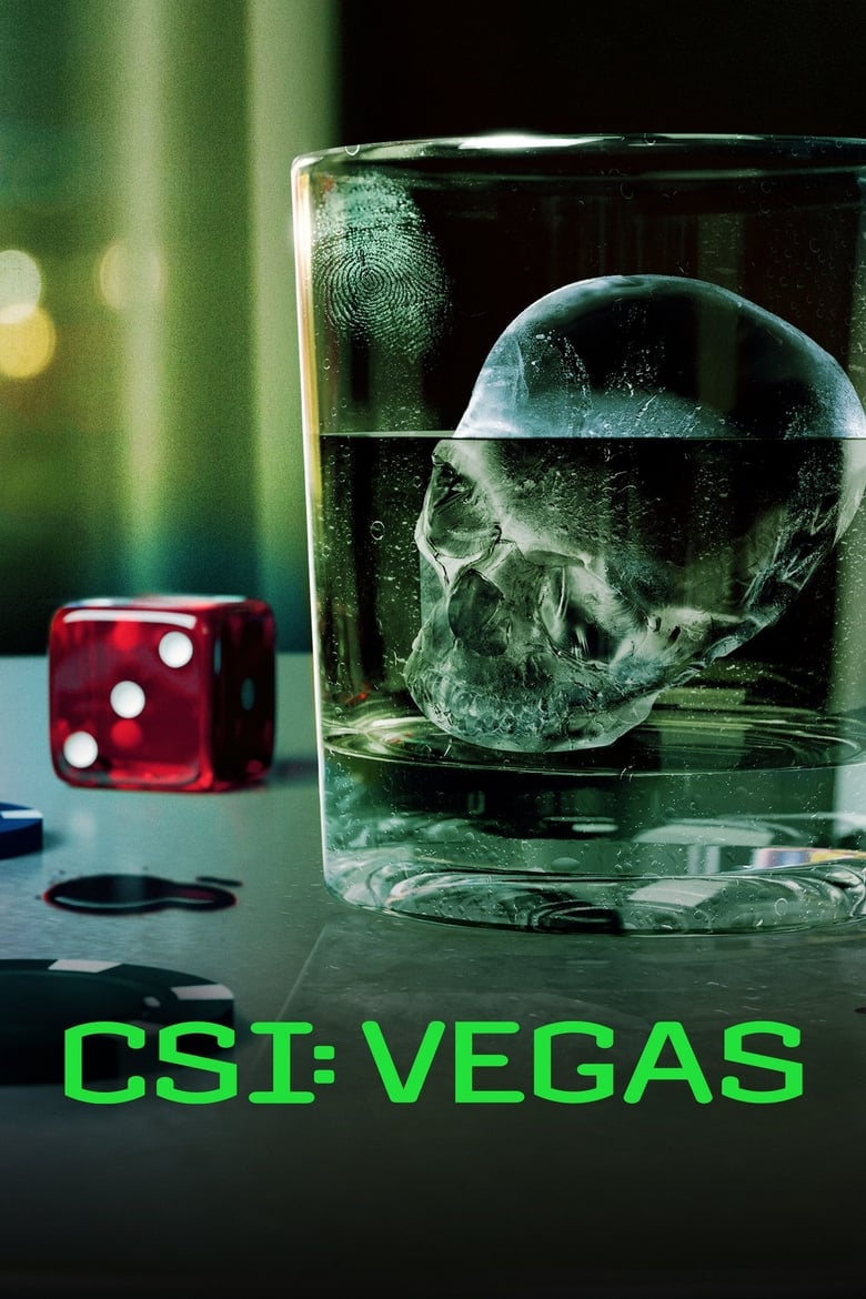 CSI: Vegas – sæson 3