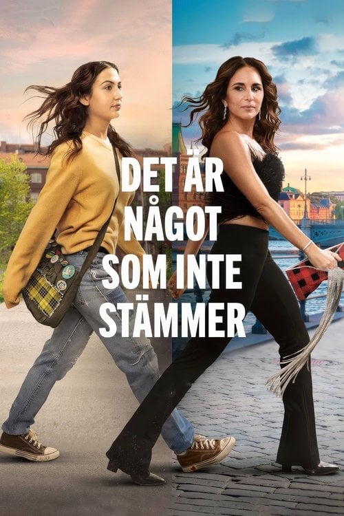 Der er noget som ikke stemmer