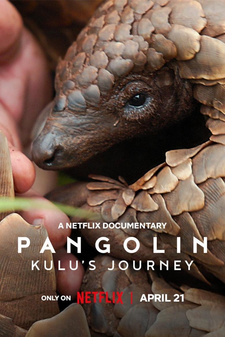 Pangolin: Kulu’s Journey