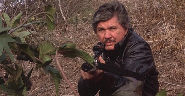 classic 0f8e1a12702b627c3e5979f7ca51bf45