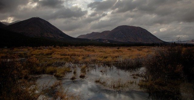 classic 330a1254783977a3271150760a16b41d