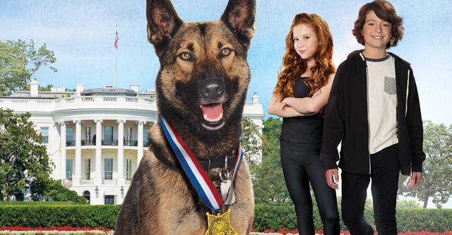 classic 7dd0f29240a3794b60e21555d3525a73