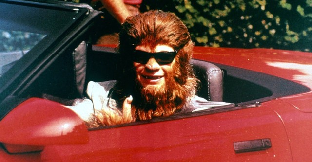 classic 90e3804cb916a7003fa1df05ed9ee0eb