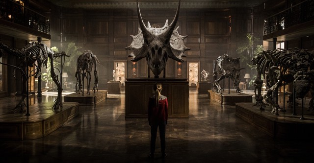 classic ab6137991fc59c8c048f766fa74e3333