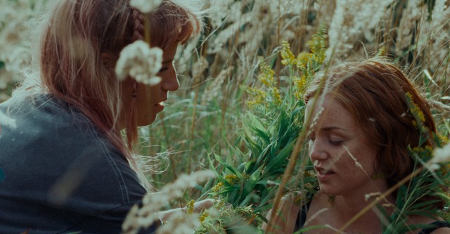 classic f7de2348cf5e6bd64d33410fe81c28ad