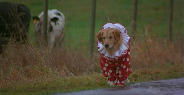 classic f9703b3a01c5d984ca4514ef20f3325d